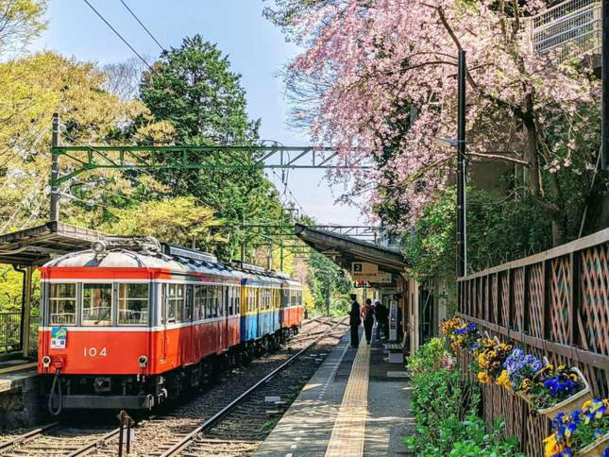 Hotel Morinokaze Hakone Sengokuhara Buitenkant foto